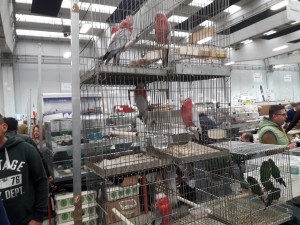 20191123_124450(0)     